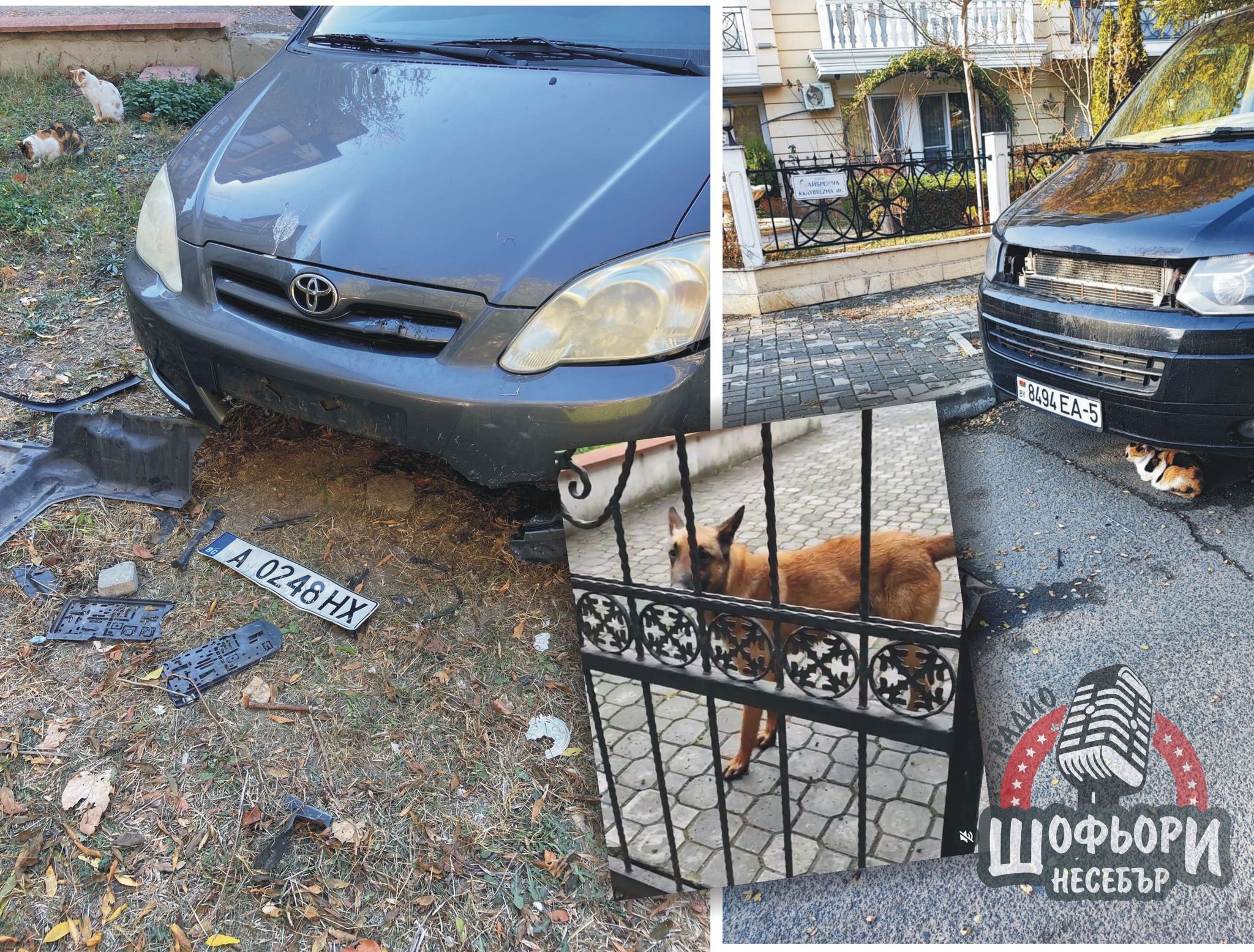 Кучето “Автотенекеджия” от Равда продължава да троши коли /ВИДЕО/