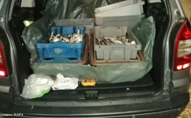 Инспектори на ИАРА пресякоха нерегламентирана продажба на риба в Поморие