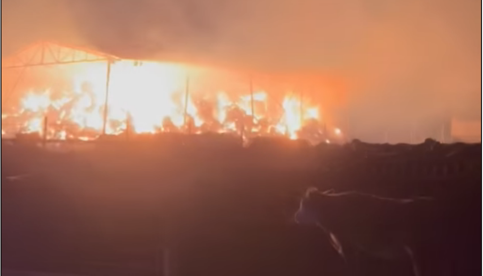 Подпалиха стопанството на украинци  у нас, щетите са огромни ВИДЕО