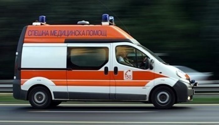 Молдовче изкочи пред кола в Несебър