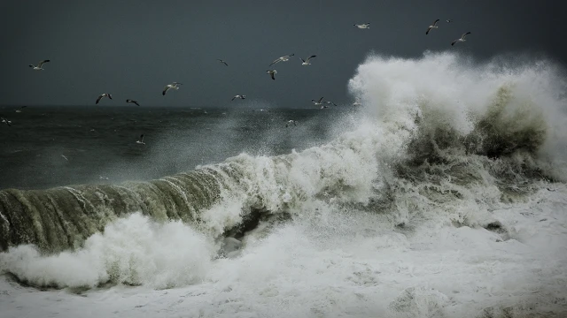 Понеделник ураганен вятър по морето