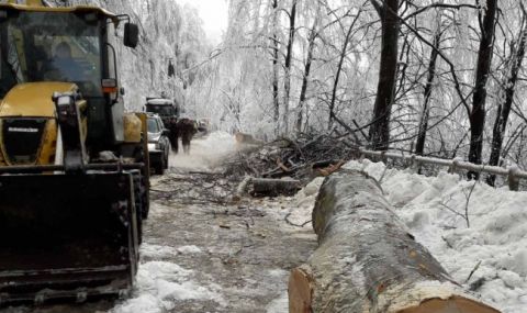 “Петрохан” е затворен изцяло за движение заради паднали дървета